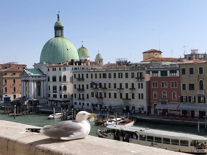 View in Venice as IOC Evaluation Commission for the 2026 Winter Olympics arrives in Italy (GamesBids Photo)